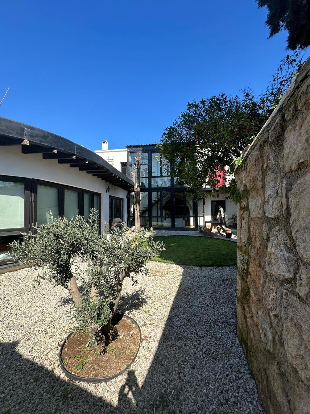 Olive House Villa Kerínia Kültér fotó